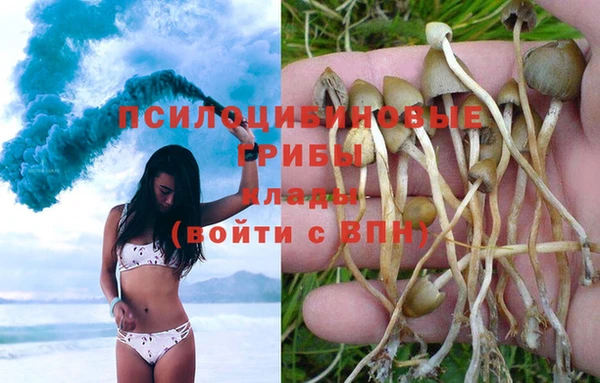 мдпв Вяземский