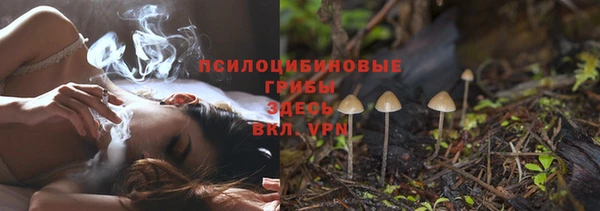 мдпв Вяземский