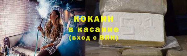мдпв Вяземский