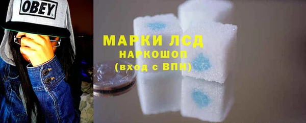 мдпв Вяземский