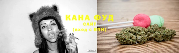 мдпв Вяземский