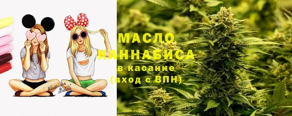 мдпв Вяземский