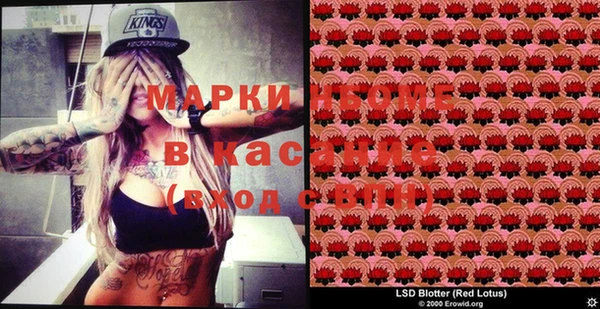 мдпв Вяземский