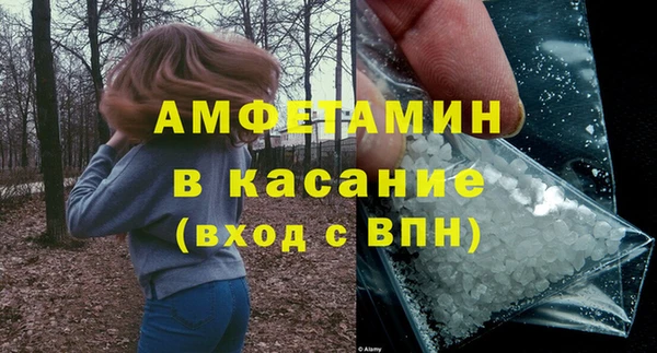 мдпв Вяземский