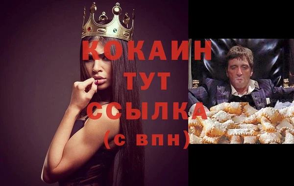 мдпв Вяземский